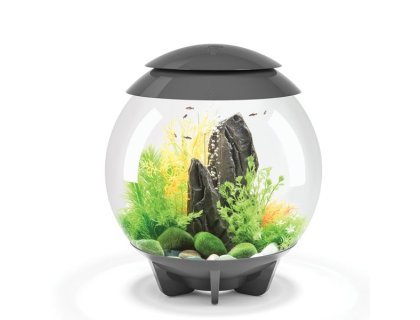 Oase biOrb HALO 30 MCR (akvárium šedé)