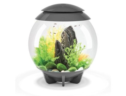 Oase biOrb HALO 30 LED (akvárium šedé)