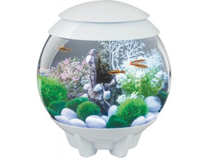 Oase biOrb HALO 30 MCR (akvárium bílé)