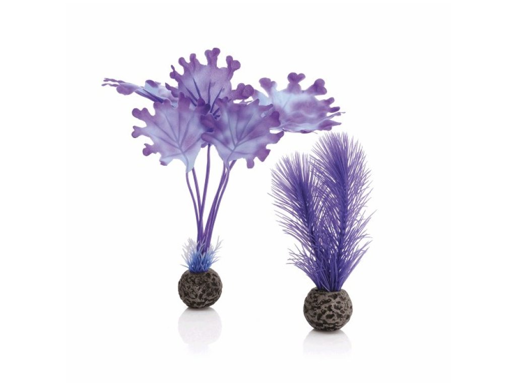 Oase biOrb set rostlin fialové S