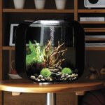 Oase biOrb LIFE 15 LED (akvárium bílé)