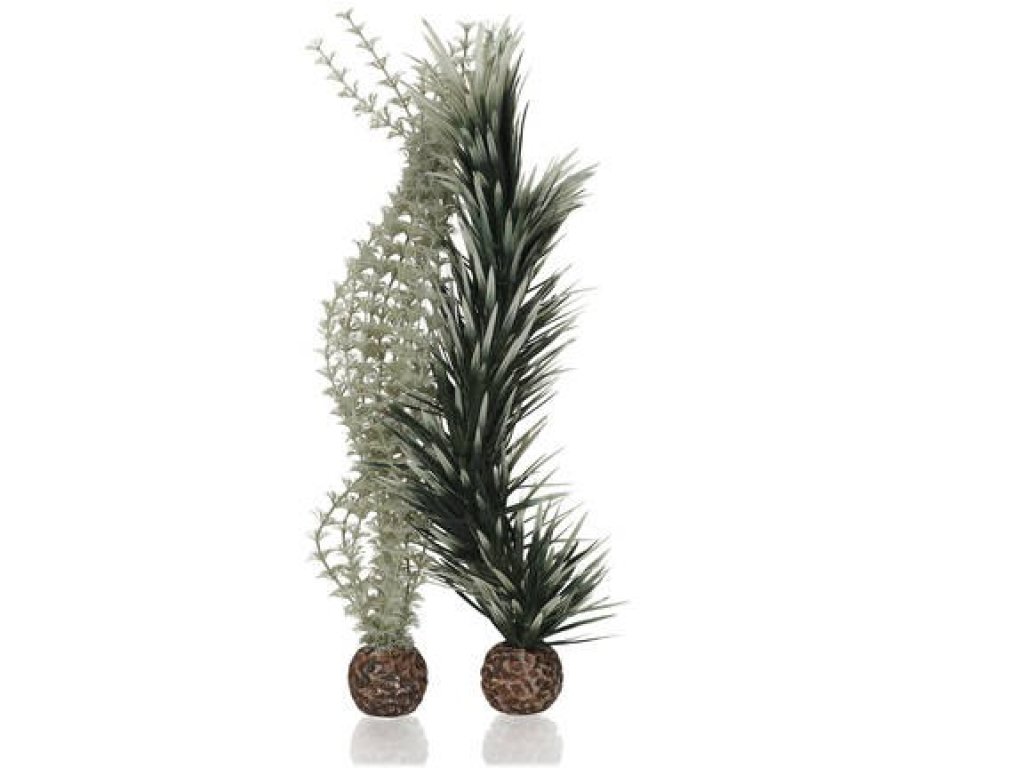 Oase biOrb set rostlin Ambulie šedo-zelená L