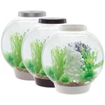 Oase biOrb CLASSIC 30 LED (akvárium bílé)