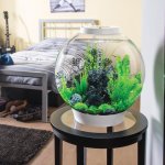 Oase biOrb CLASSIC 30 LED (akvárium bílé)