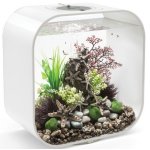 Oase biOrb dekorace kámen s mořskými hvězdami