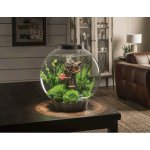 Oase biOrb dekorace kmen s houbami 1.