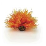 Oase biOrb vodní ozdobná tráva oranžová
