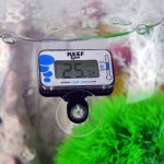 Oase biOrb digitální teploměr