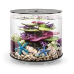 Oase biOrb TUBE 35 MCR (akvárium bílé)