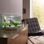 Oase biOrb TUBE 35 MCR (akvárium bílé)