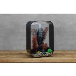 Oase biOrb LIFE 45 MCR (akvárium transparentní)