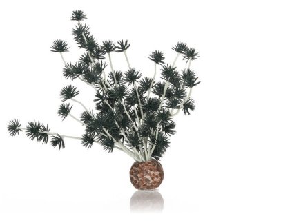 Oase biOrb rostlina Bonsai Ball černá