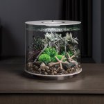 Oase biOrb rostlina Bonsai Ball černá