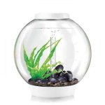 Oase biOrb CLASSIC 30 MCR (akvárium bílé)