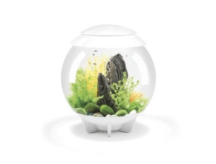 Oase biOrb HALO 30 LED (akvárium bílé)