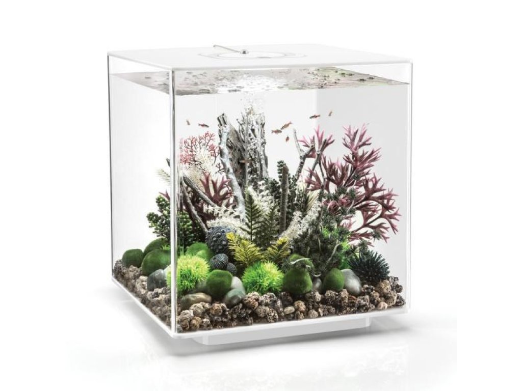 Oase biOrb CUBE 60 LED (akvárium bílé)