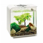 Oase biOrb sada léto 15 l