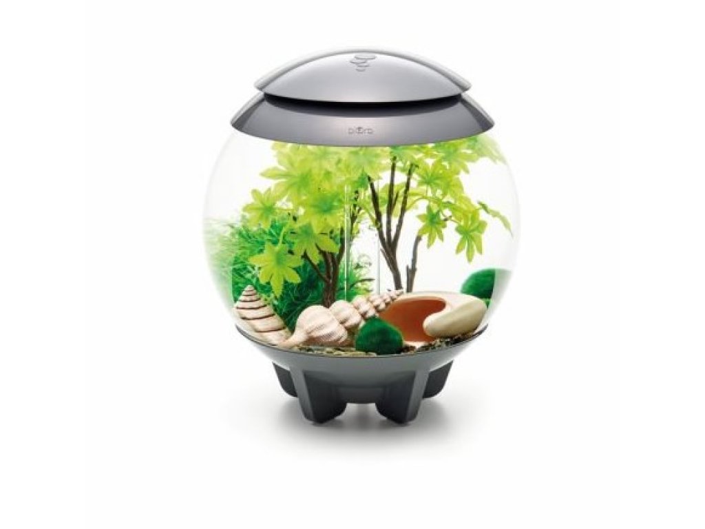 Oase biOrb sada léto 30 l