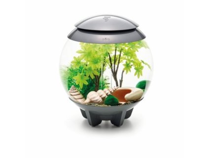 Oase biOrb sada léto 30 l