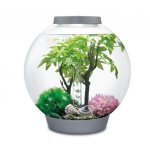 Oase biOrb sada léto 30 l