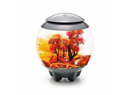 Oase biOrb sada Podzim 15 l