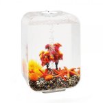 Oase biOrb sada Podzim 15 l