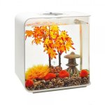 Oase biOrb sada Podzim 30 l