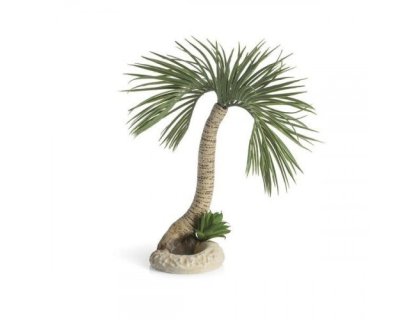 Oase biOrb palma Seychely M