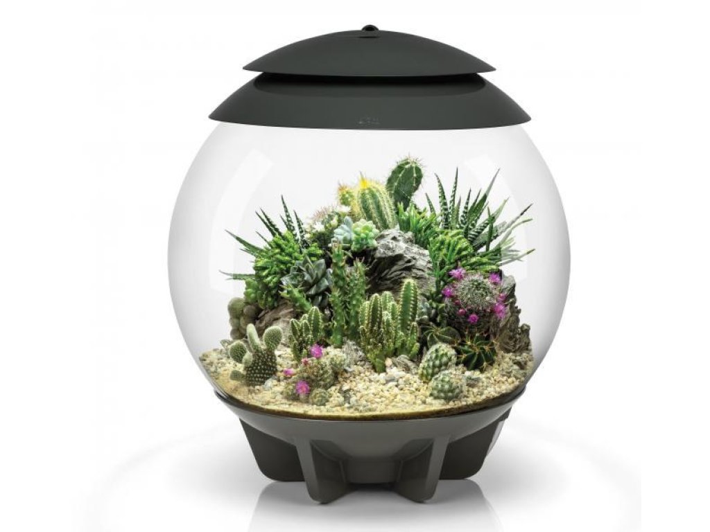 Oase biOrb AIR 30 (terárium šedé)
