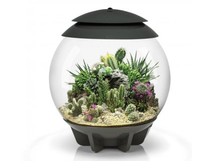 Oase biOrb AIR 30 (terárium šedé)