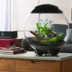 Oase biOrb AIR 30 (terárium šedé)