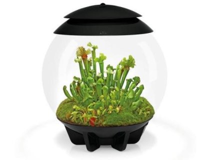 Oase biOrb AIR 30 (terárium černé)