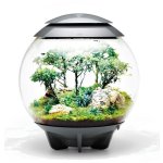 Oase biOrb AIR 30 (terárium černé)