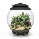 Oase biOrb AIR 30 (terárium černé)