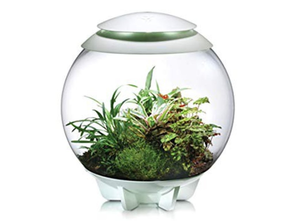 Oase biOrb AIR 30 (terárium bílé)
