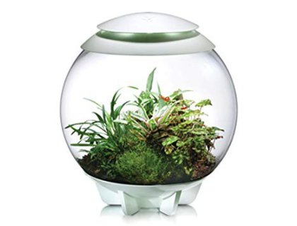 Oase biOrb AIR 30 (terárium bílé)