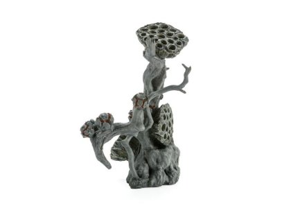 Oase biOrb dekorace semeník lotosu L