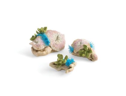 Sada biOrb set korálů plate corals & button polyp