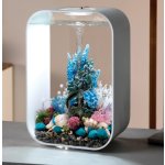 Oase biOrb set korálových vějířů a mušlí fans & shell