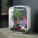 Oase biOrb set korálových vějířů a mušlí fans & shell