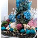 Oase biOrb set korálových vějířů a mušlí fans & shell