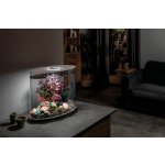 Oase biOrb plate korálová sada