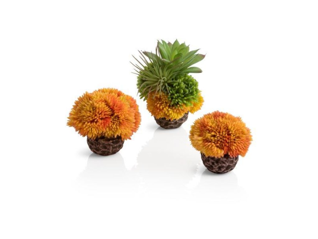 Oase biOrb dekorace set korálová koule oranžová