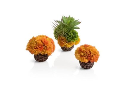 Oase biOrb dekorace set korálová koule oranžová
