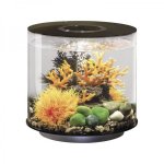 Oase biOrb dekorační set Orange Flames