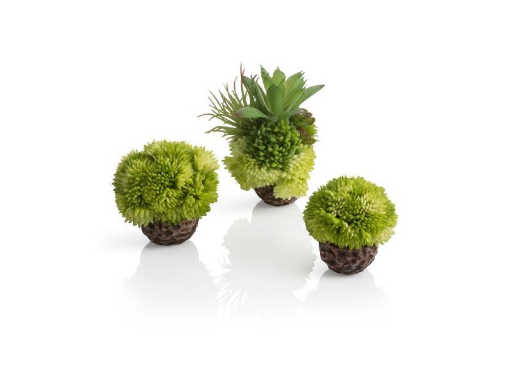 Oase biOrb dekorace set koralová koule zelená