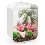 Oase biOrb dekorace oblázky pískové