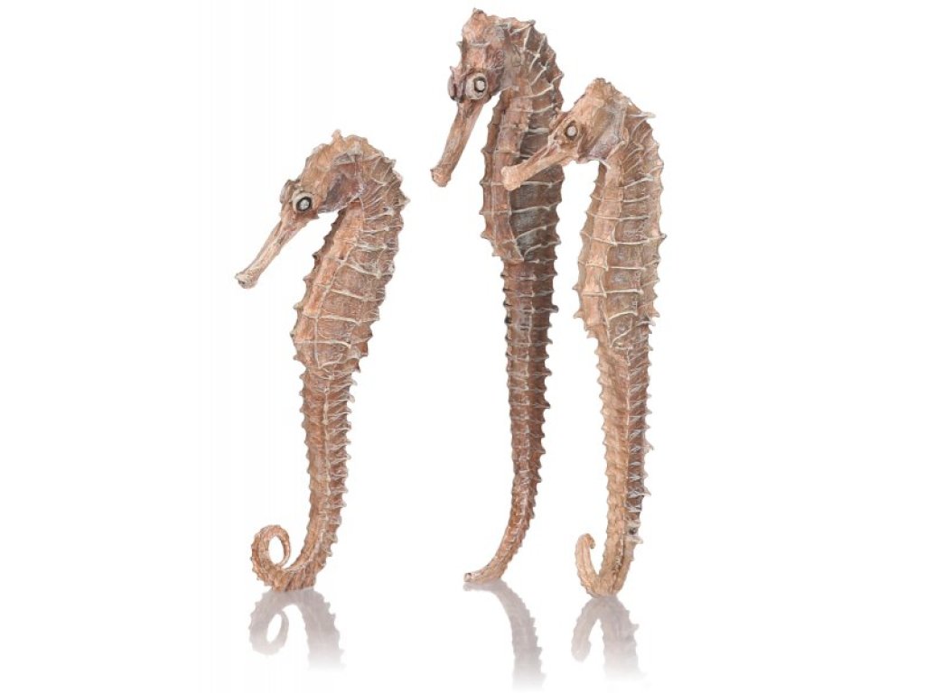 Oase biOrb mořský koník přírodní (3ks)