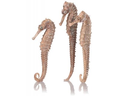 Oase biOrb mořský koník přírodní (3ks)