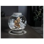 Oase biOrb mořský koník přírodní (3ks)